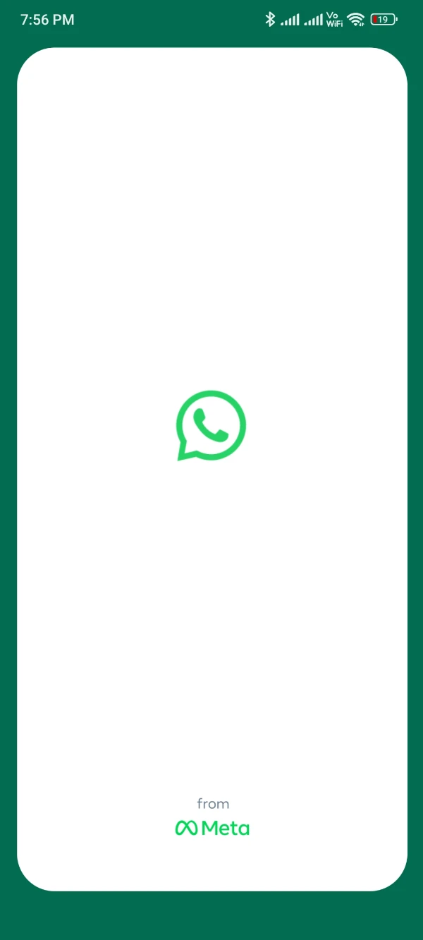 Open Official WhatsApp App