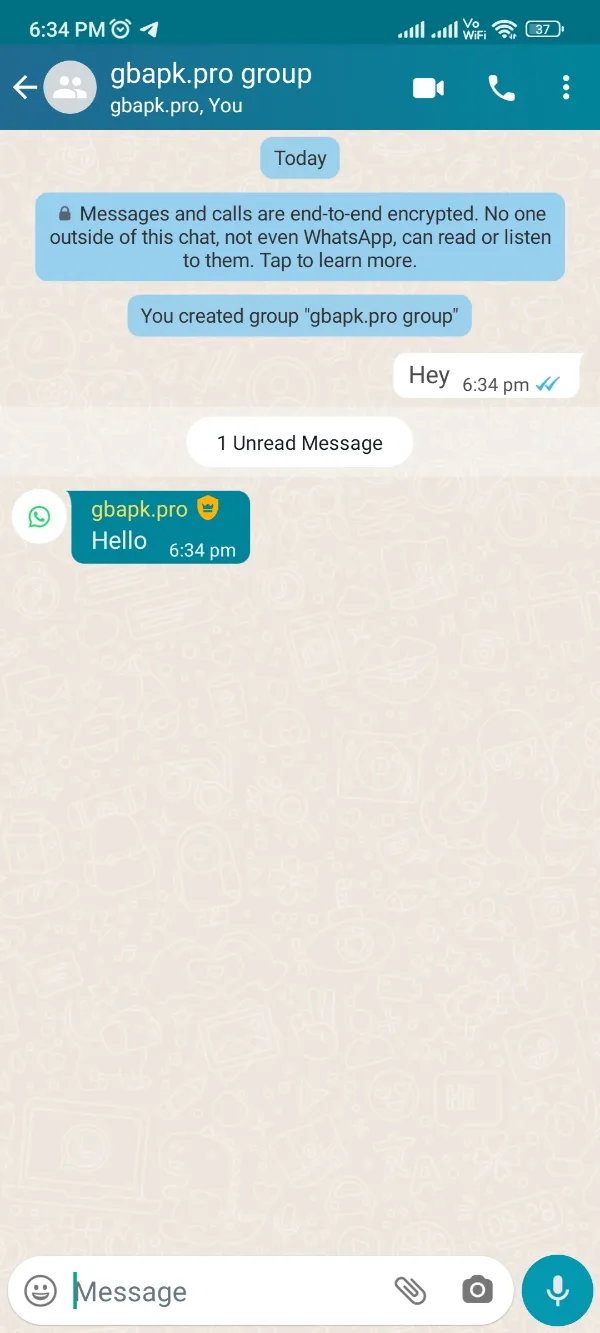 YoWhatsApp Chat Window